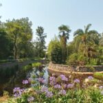 Algunas ellas tambien disponen balcon