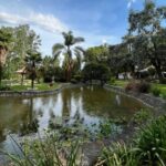 O continental nuestro restaurante que tambien ofrece argentina